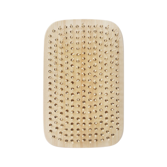 ecotools Travel Detangler