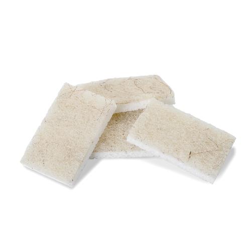 Eddingtons CLEANA COLADA SET OF 2 COCONUT FIBRE SCRUBBERS