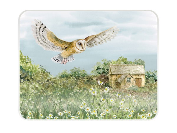 eddingtons #NT BARN OWL MED WORKTOP PROTECTOR(CL)