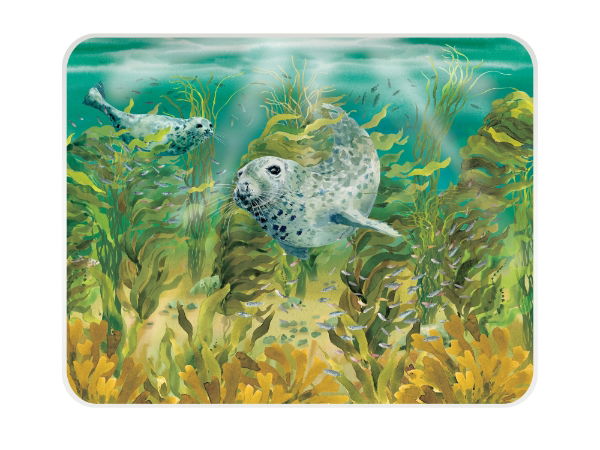 eddingtons #NT SEALS MED WORKTOP PROTECTOR(CL)