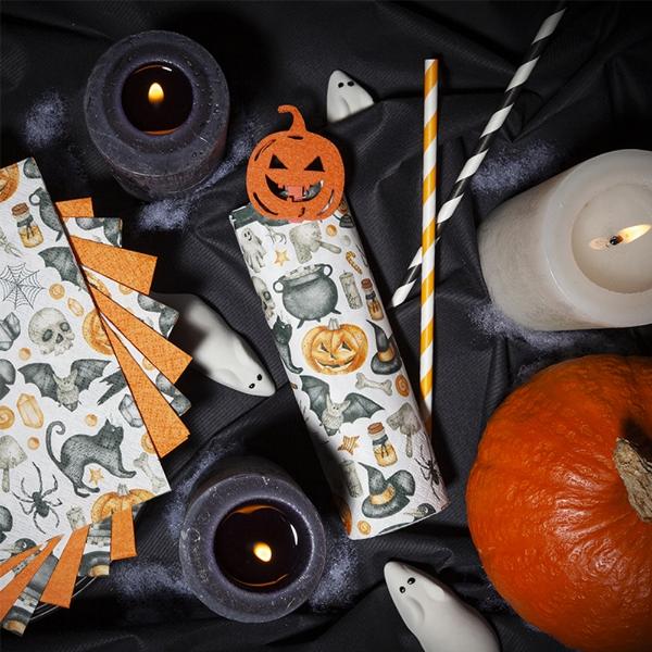 Eddingtons HOCUS POCUS HALLOWEEN PAPER NAPKINS 33 X 33CM