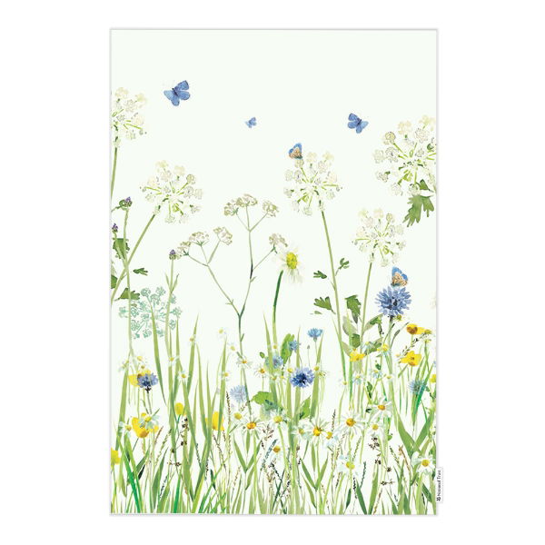 eddingtons NATIONAL TRUST BUTTERFLY ORGANIC COTTON SINGLE TEA TOWEL