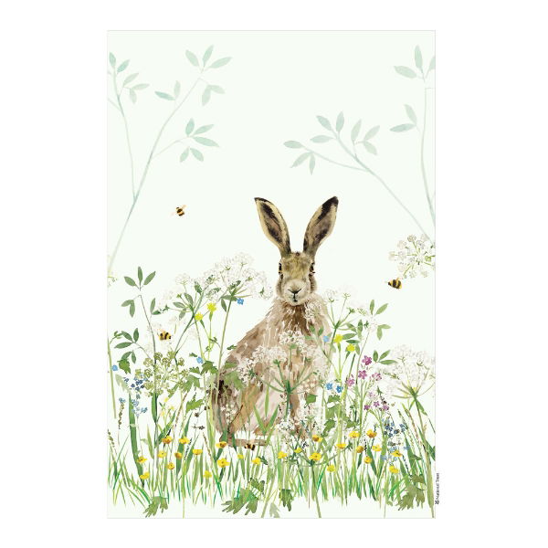 eddingtons NATIONAL TRUST HARE ORGANIC COTTON SINGLE TEA TOWEL