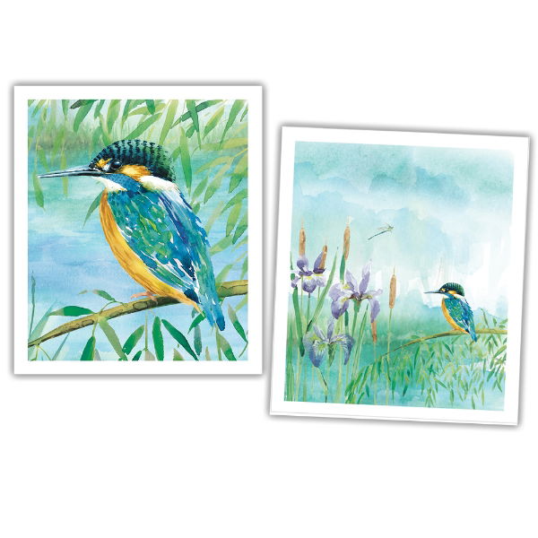 eddingtons NATIONAL TRUST KINGFISHER PLANT BASED CLEANING CLOTHS SET OF 2