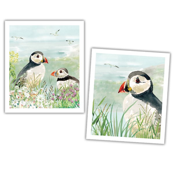 eddingtons NATIONAL TRUST PUFFIN PLANT BASED CLEANING CLOTHS SET OF 2