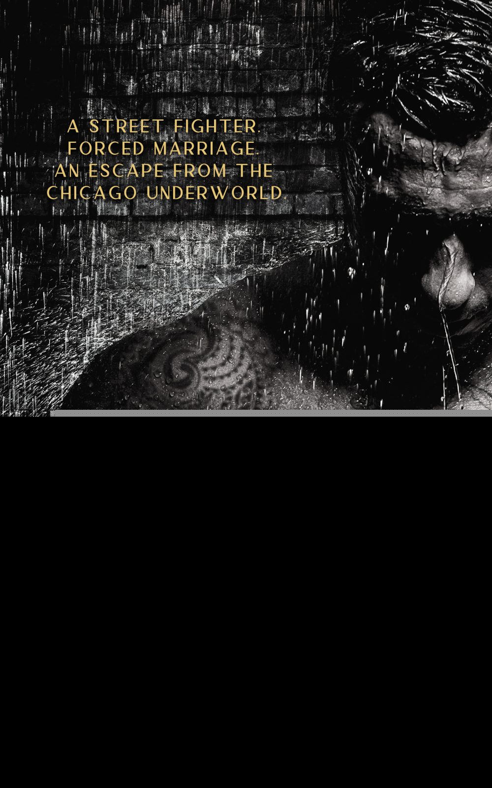 eden books Breaking Storm: A Dark Chicago Underworld Romantic Suspense (Storm Duet 1)