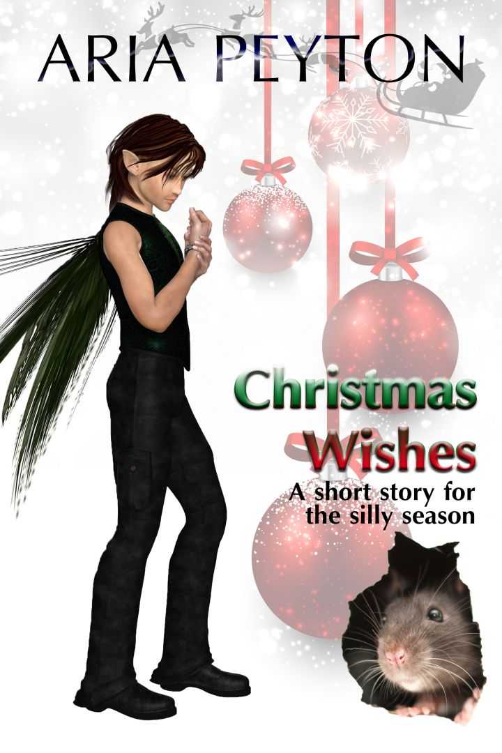 eden books Christmas Wishes – A Short Story for the Silly Season