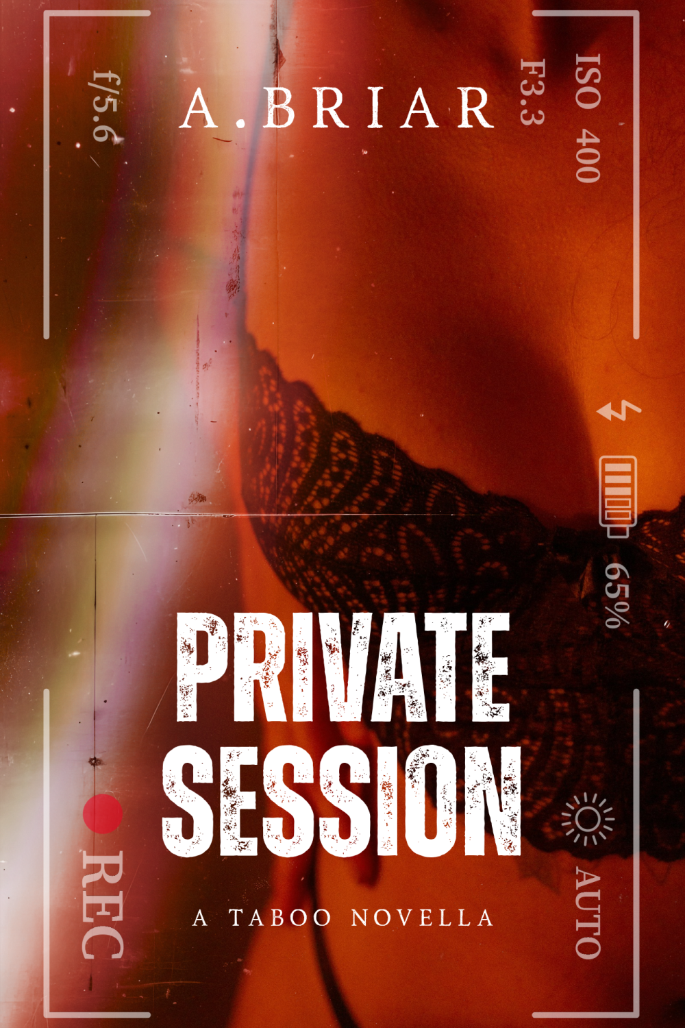 eden books PRIVATE SESSION: A TABOO UNCLE AND NIECE BOOK
