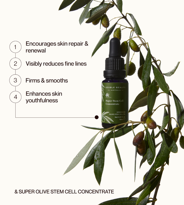 Edible Beauty Super Olive Stem Cell Concentrate
