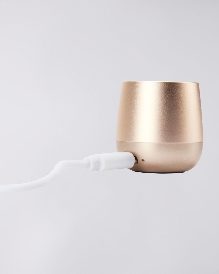 EDWIN Edwin X Lexon Mini Speaker Gold
