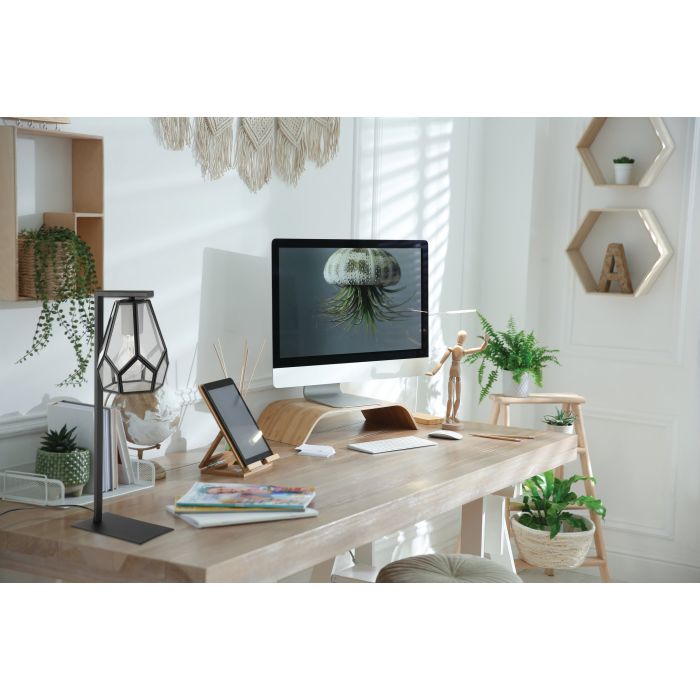 Eglo MARDYKE Table Light