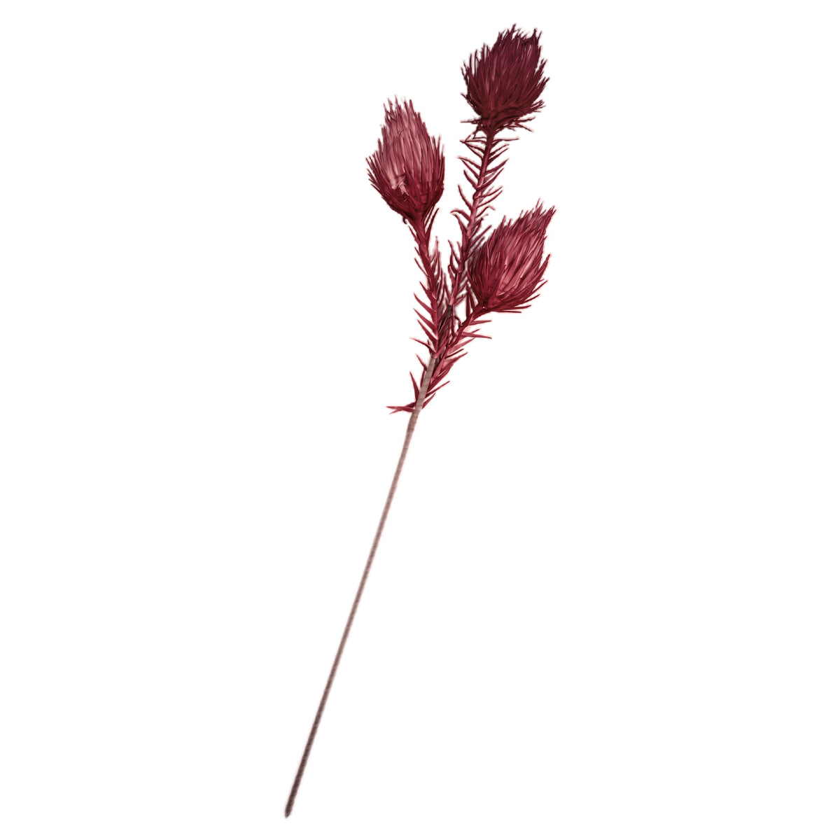 eight mood Harvest Decoration L110cm Wine Red