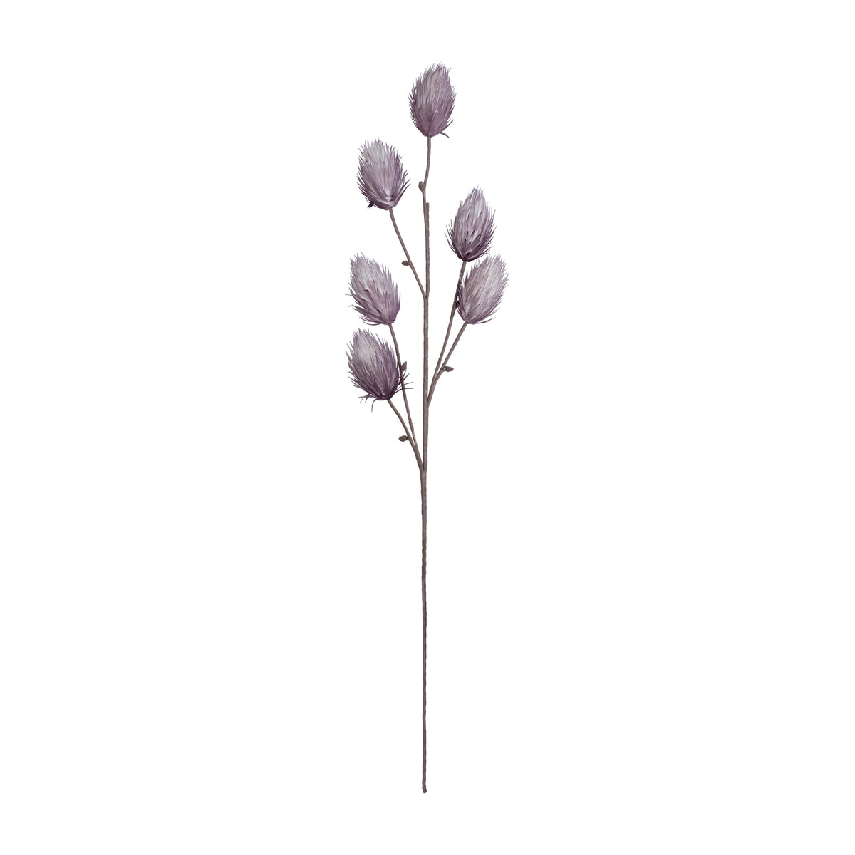 eight mood Verdi Decoration L118cm Violet
