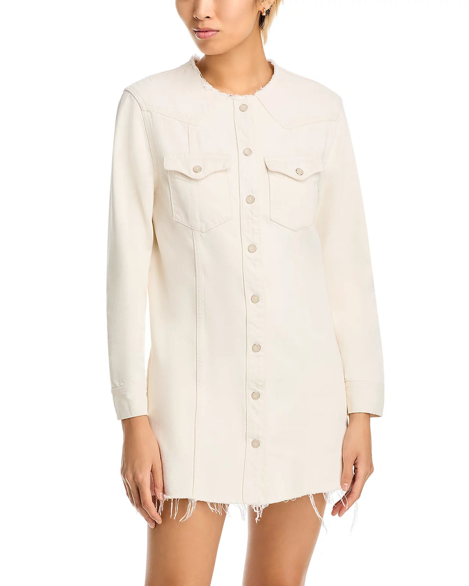 Elaine Turner Riley Denim Mini Dress