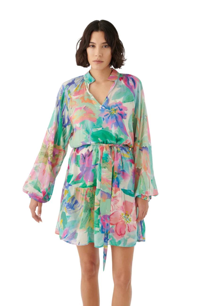 Elaine Turner Vaniadea Posada Villea Dress