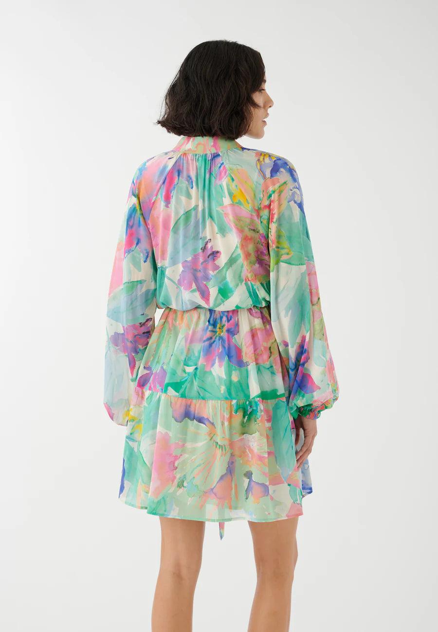 Elaine Turner Vaniadea Posada Villea Dress