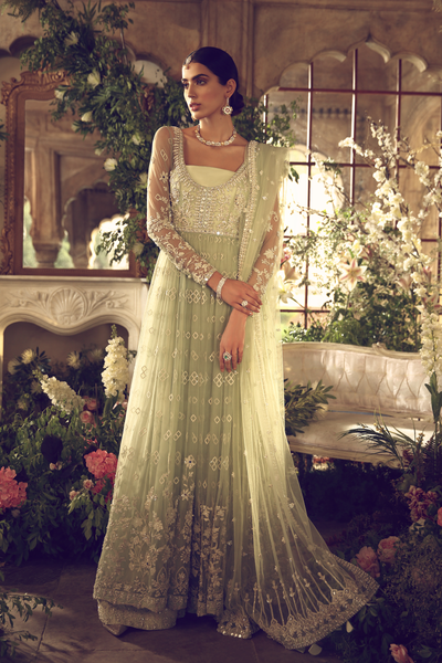 Elan ARTEMISIA (EB-19231)