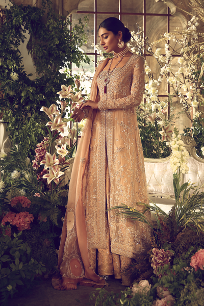 Elan SAFAVID (EB-180659)