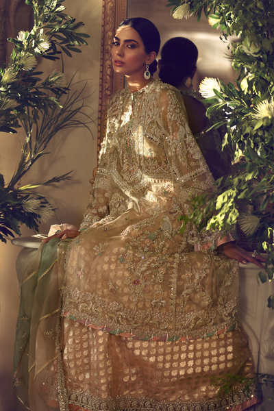 Elan ZOONGASH (EB-19210)