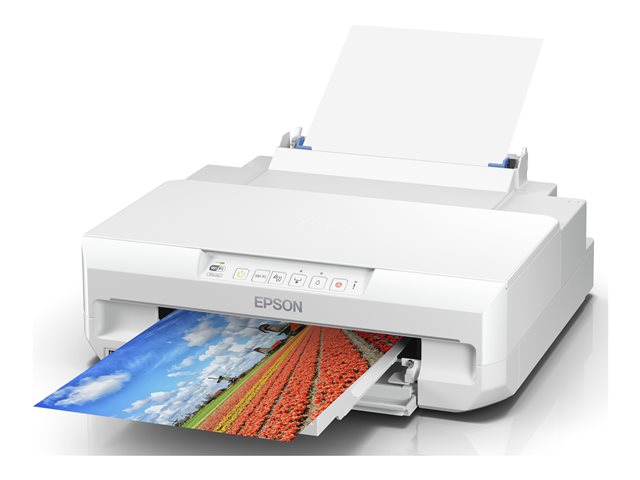 elara Epson Expression Photo XP-65