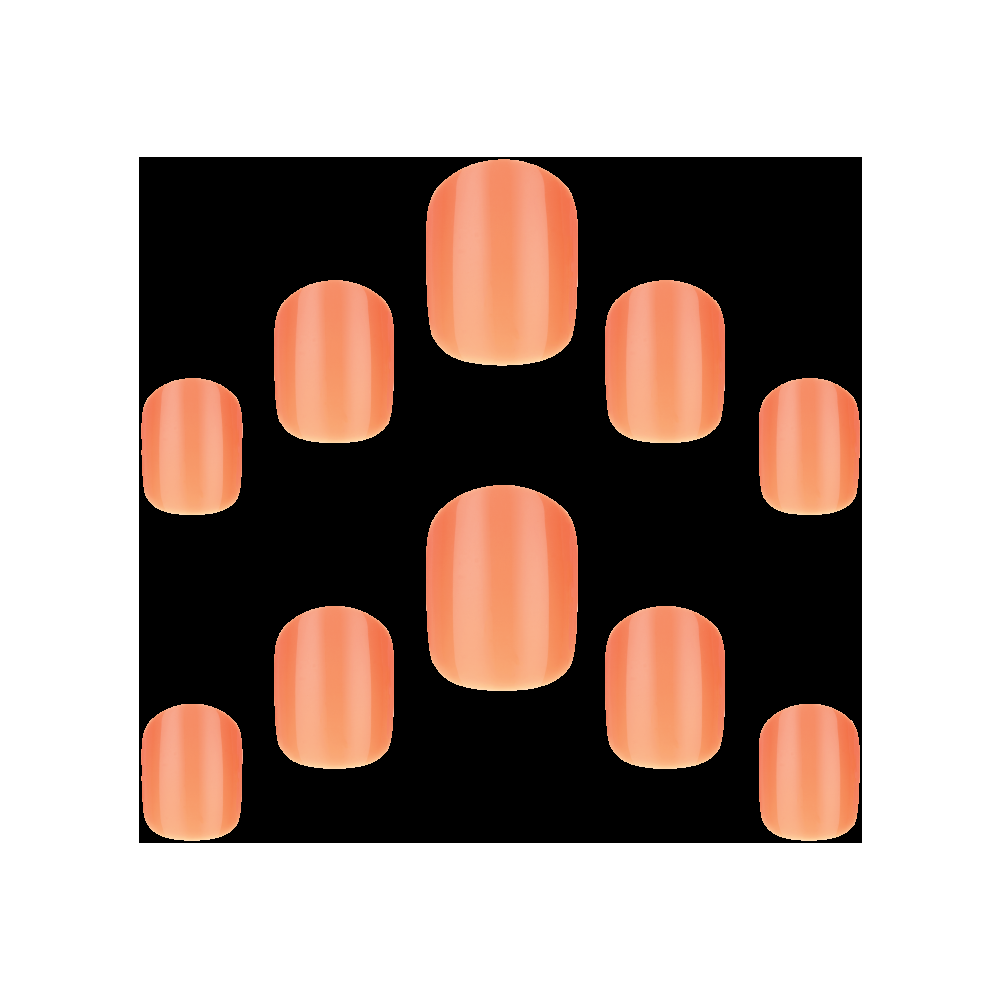 Elegant Touch Apricot Crush