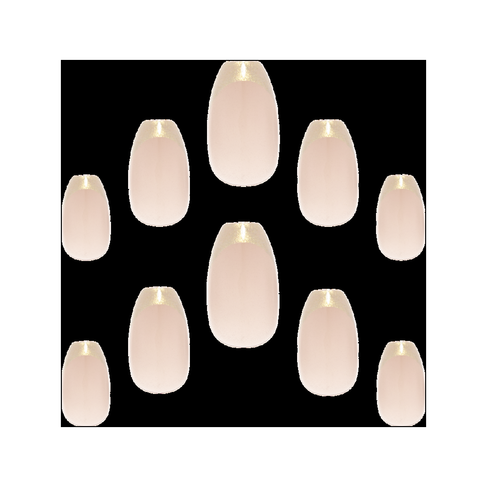 Elegant Touch Halycon