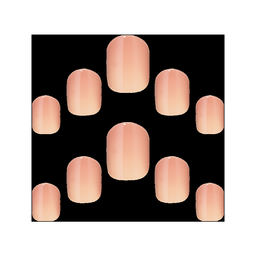 Elegant Touch Rose Ribbons