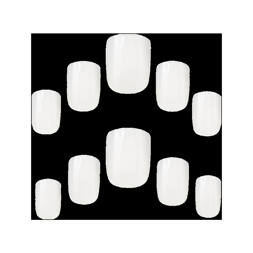 Elegant Touch Square