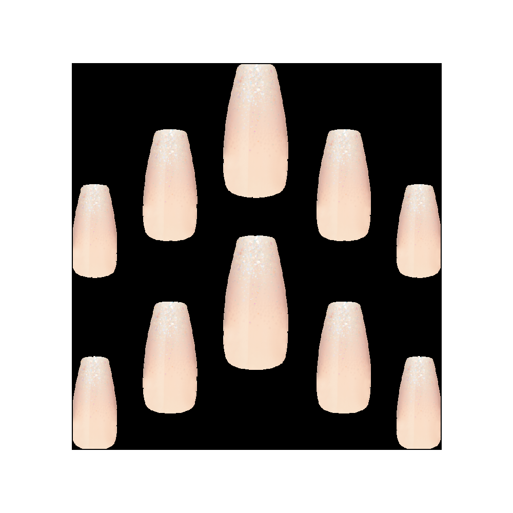 Elegant Touch Sugar Cookie