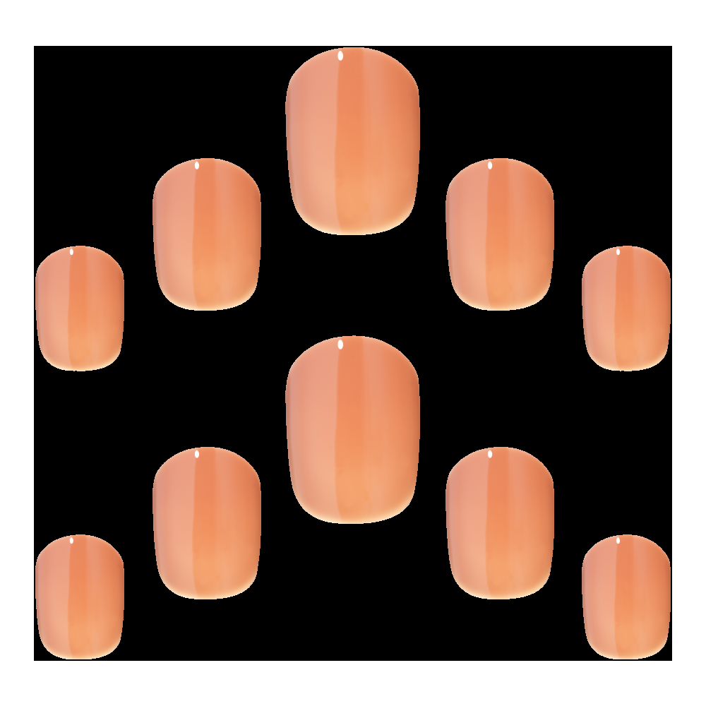 Elegant Touch True Tiramisu