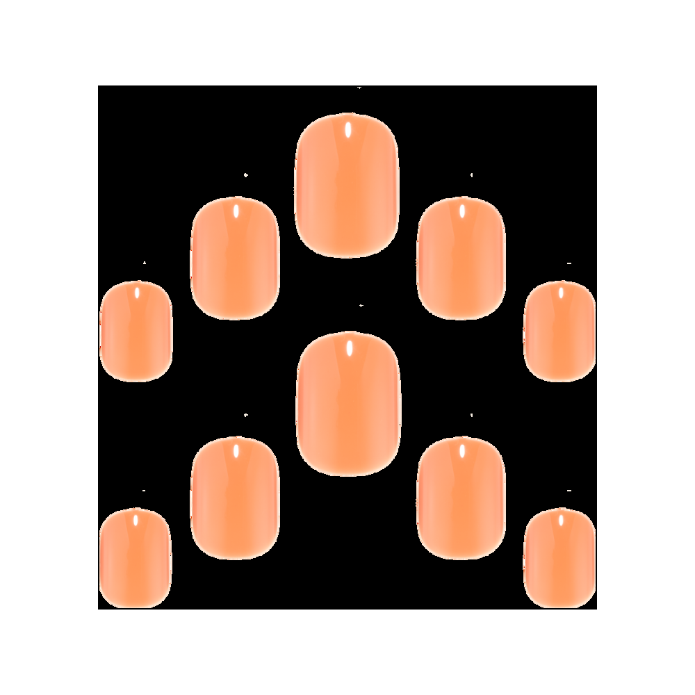 Elegant Touch Tulip Sunrise