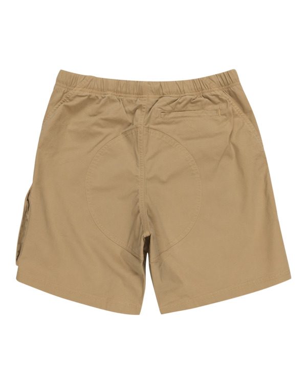 Element Chillin Travel 19" - Technical Walk Shorts For Men