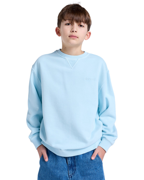 Element Cornell 3.0 - Pullover Sweatshirt For Boys 8 - 16