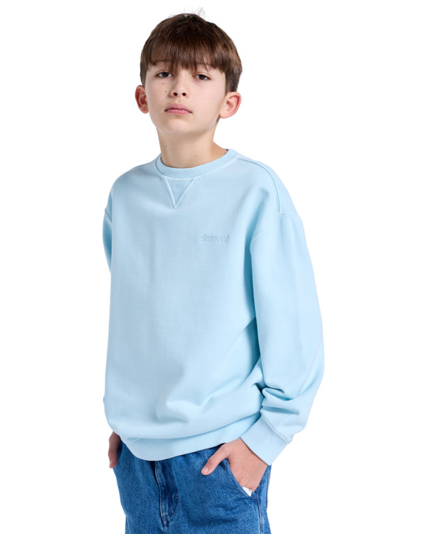Element Cornell 3.0 - Pullover Sweatshirt For Boys 8 - 16