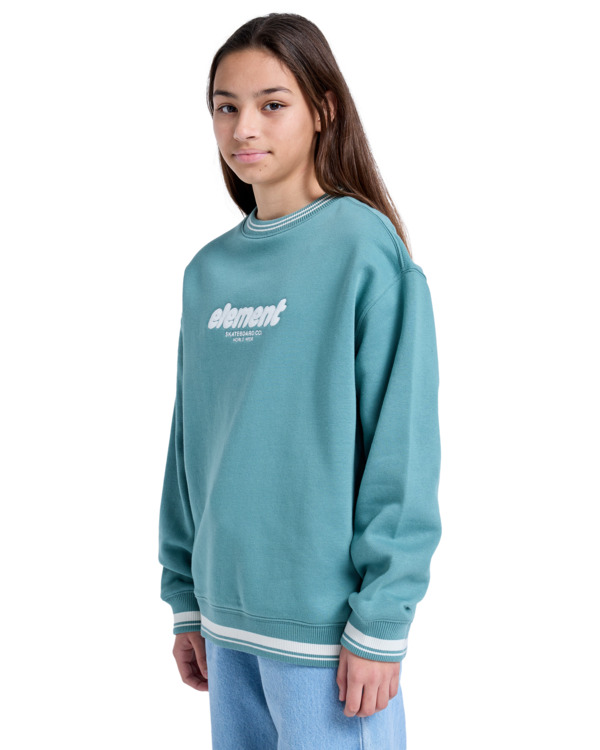 element 90s 2.0 - Pullover Sweatshirt for Boys 8 - 16