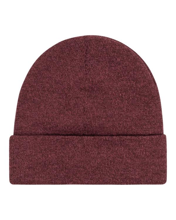 Element Carrier - Beanie For Men