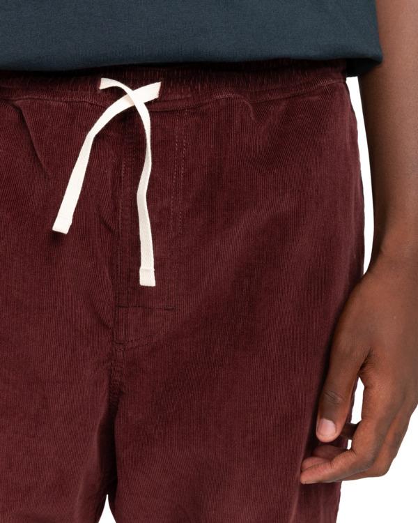 Element Chillin - Hiking Pant For Men