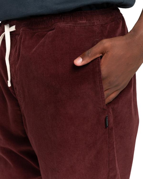 Element Chillin - Hiking Pant For Men