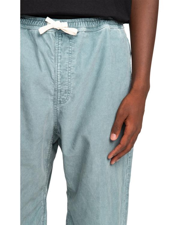 Element Chillin - Hiking Pant For Men