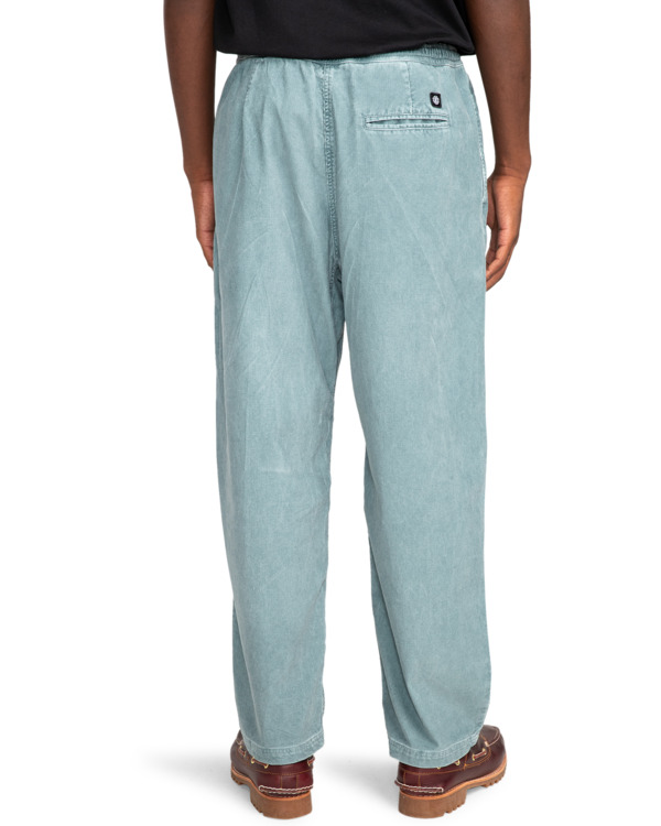 Element Chillin - Hiking Pant For Men