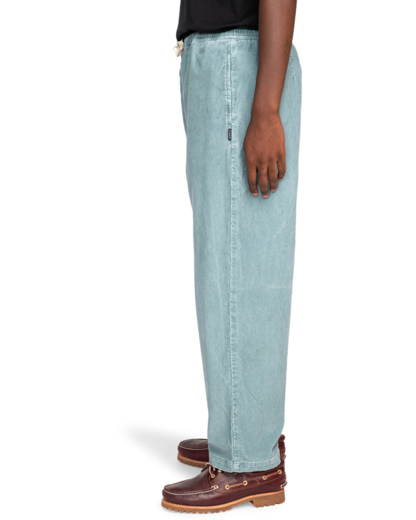 element Chillin - Hiking Pant for Men