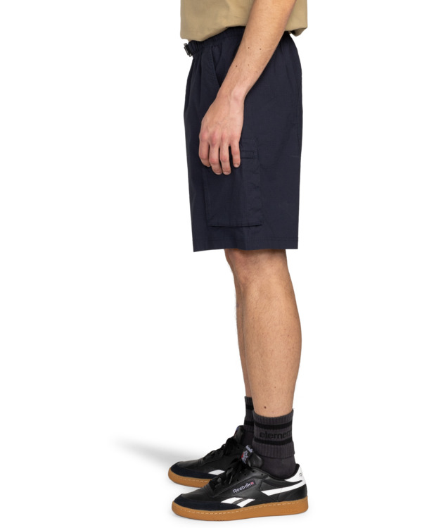 Element Chillin Travel 19" - Cargo Walkshorts For Men
