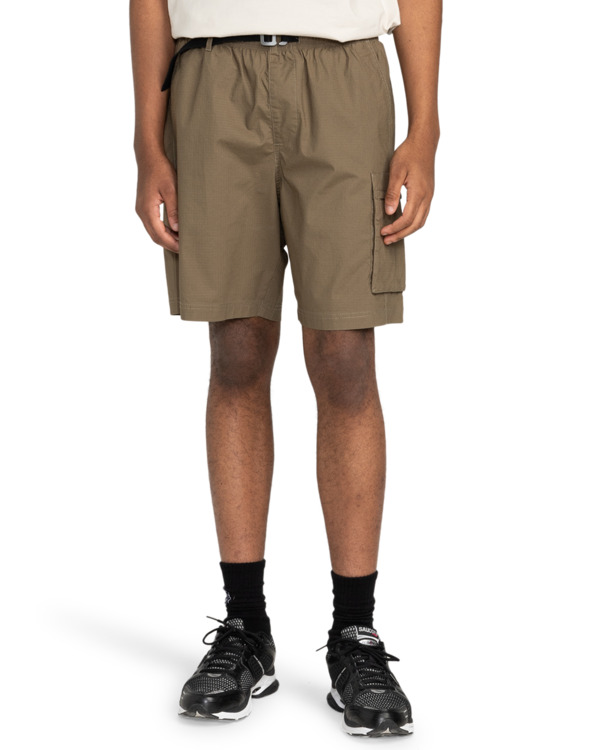 Element Chillin Travel 19" - Cargo Walkshorts For Men