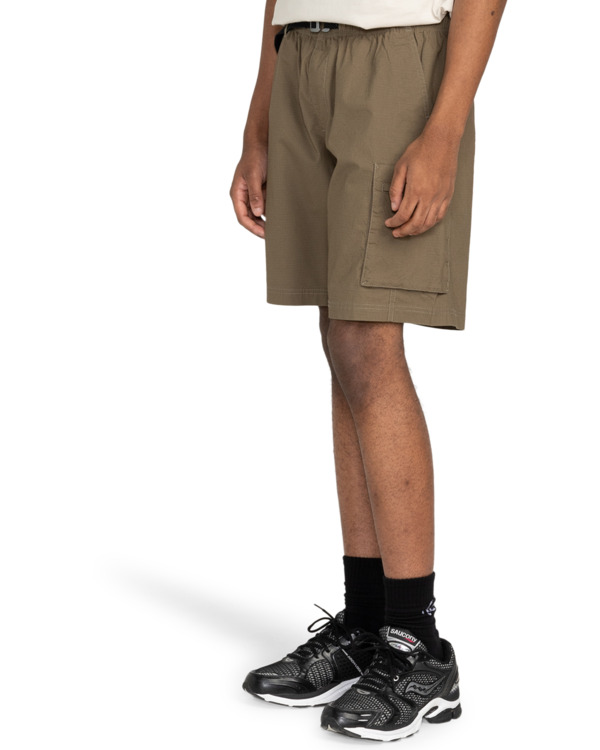 Element Chillin Travel 19" - Cargo Walkshorts For Men