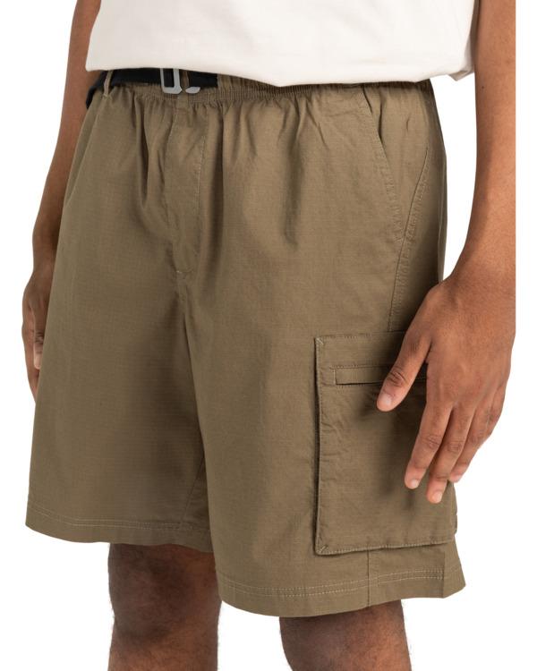 Element Chillin Travel 19" - Cargo Walkshorts For Men