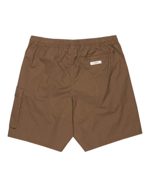 element Chillin Travel 19" - Cargo Walkshorts for Men
