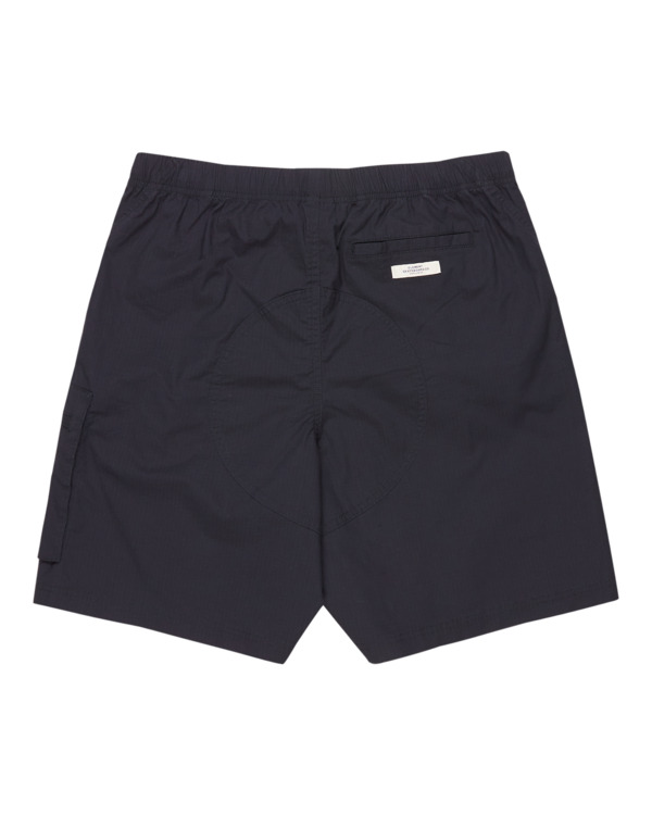 element Chillin Travel 19" - Cargo Walkshorts for Men