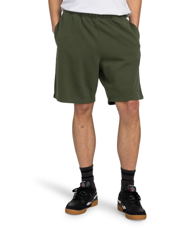 Element Cornell 3.0 - Elastic Waist Shorts For Men