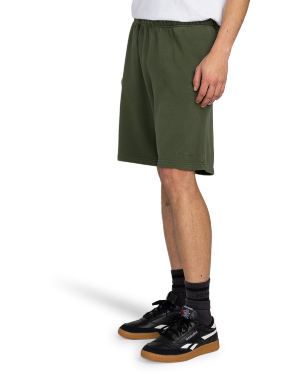 Element Cornell 3.0 - Elastic Waist Shorts For Men