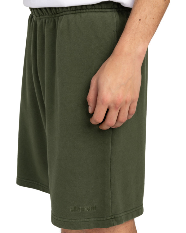 Element Cornell 3.0 - Elastic Waist Shorts For Men